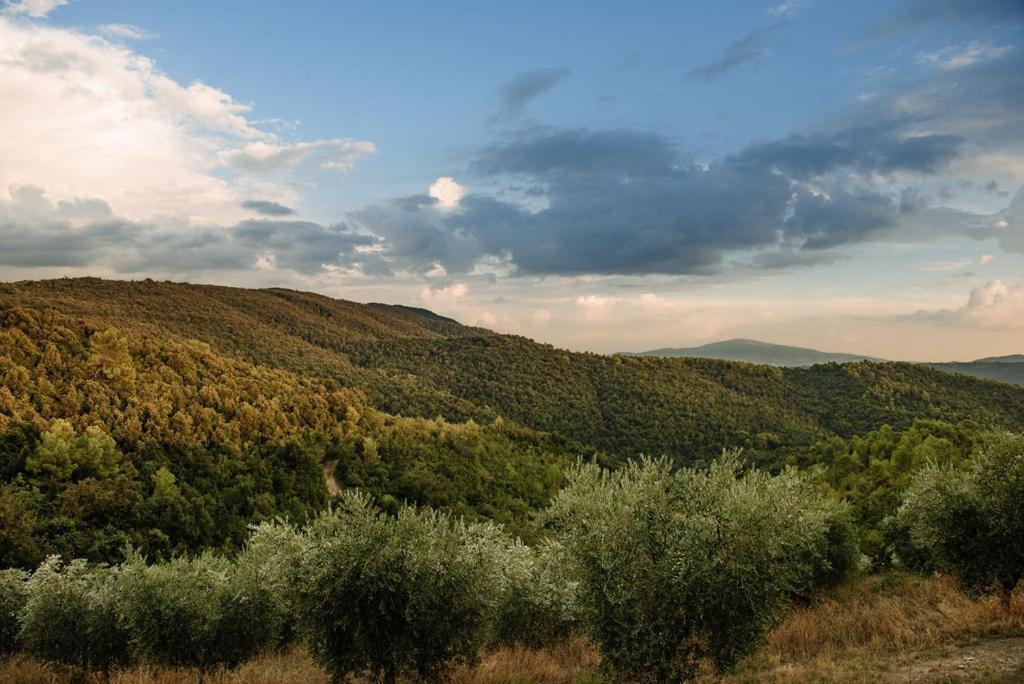 Tenuta Di Forte Sorgnano Gualdo Cattaneo Exteriör bild
