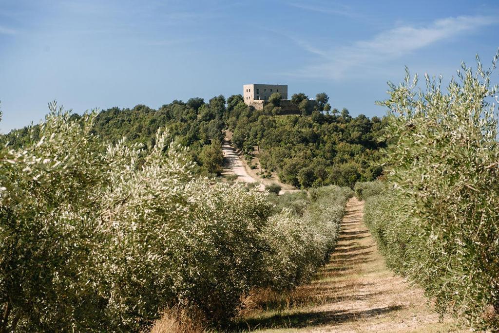 Tenuta Di Forte Sorgnano Gualdo Cattaneo Exteriör bild