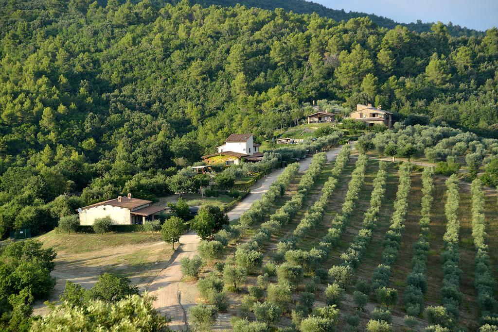 Tenuta Di Forte Sorgnano Gualdo Cattaneo Exteriör bild